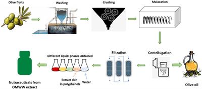 From antiquity to contemporary times: how olive oil by-products and waste water can contribute to health